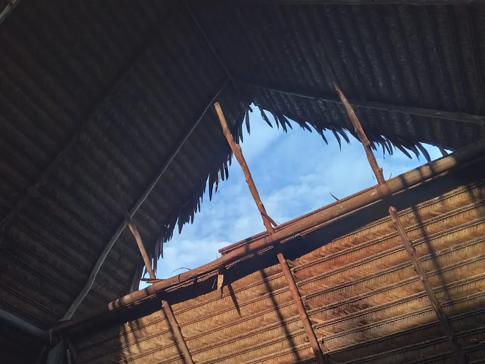 Techo de palma de la maloca tradicional, visto desde adentro
