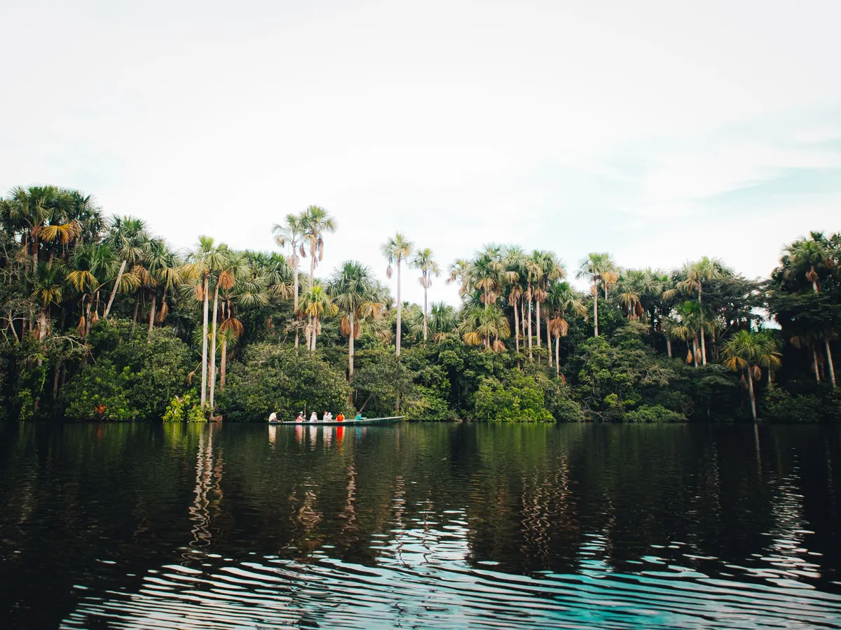 Bote con viajeros por un río de la selva rodeado de palmeras