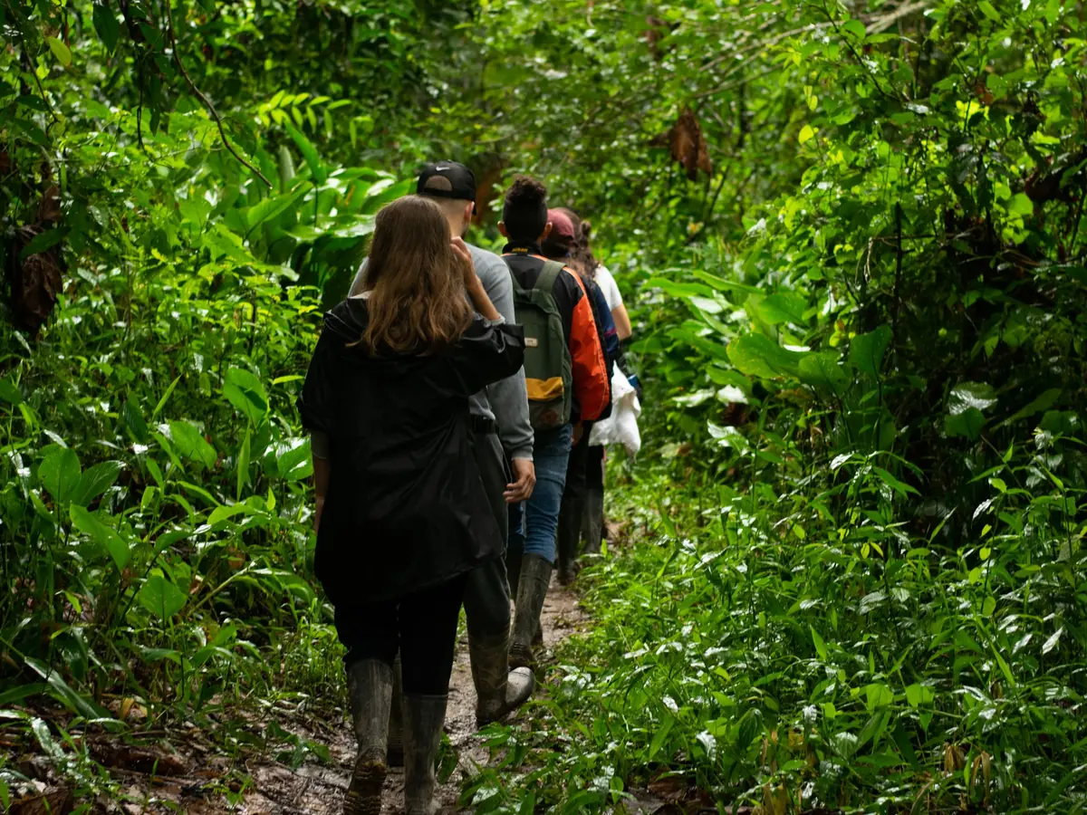 Caminantes por la selva amazónica en Manacapuru, Brasil