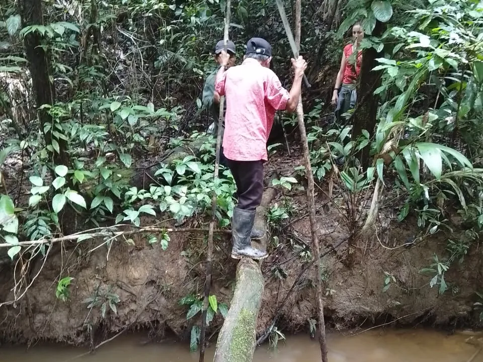 Viajero cruzando un caño sobre un tronco