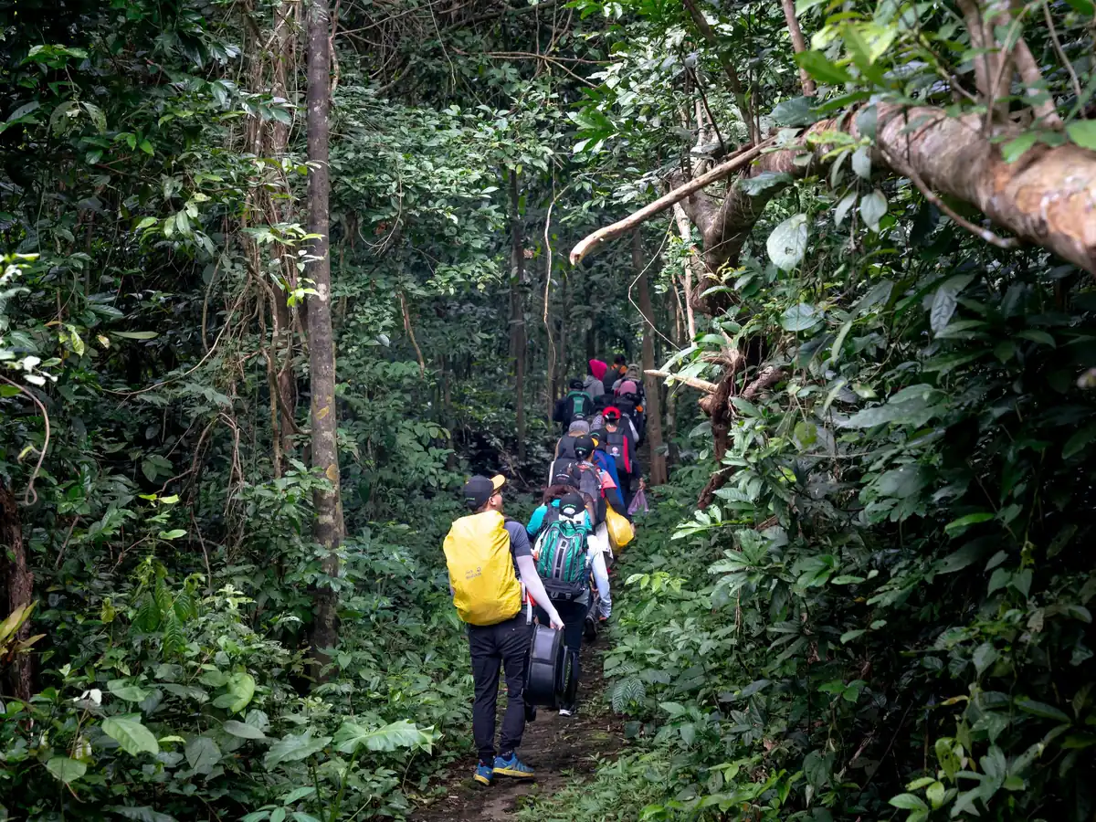 Caminantes con morral por un sendero de la selva